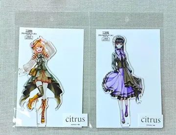 citrus 아크릴 스탠드 애프터눈 티 유즈&메이