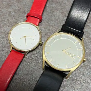 SKAGEN 페어 워치