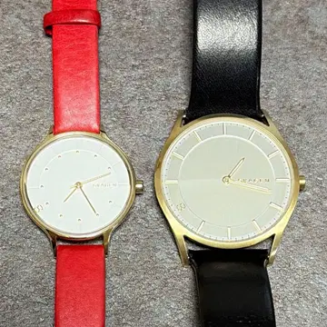 SKAGEN 페어 워치