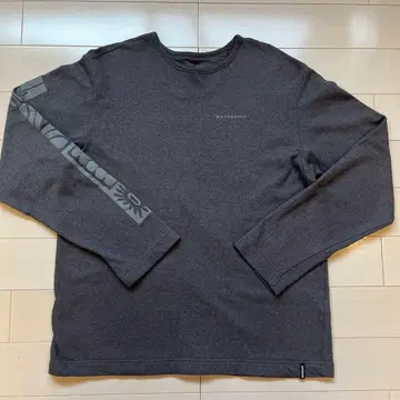 파타고니아 속기모 롱T