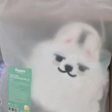 TXT 뿔바투 용몬 수빈 크로스백