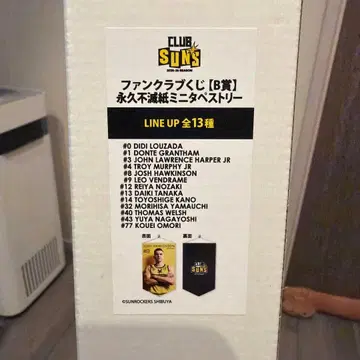 TOYOSHIGE KANO 미니 태피스트리 #14