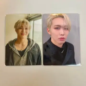 THE LAST PIECE 라스피 라이키 RAIKI 트레이딩 카드