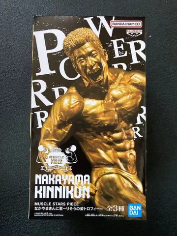 나카야마 킨니쿤 골드 피규어