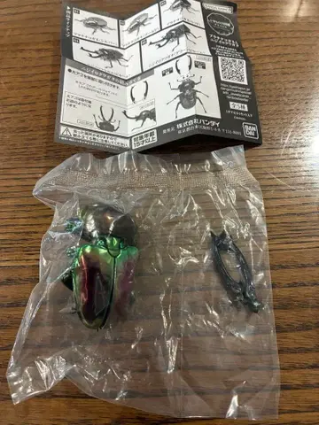 반다이 니지이로 사슴벌레 (피카르)