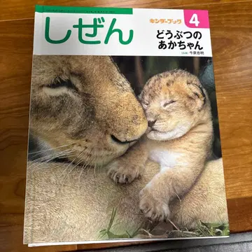 자연 그림책 시리즈 12권 세트