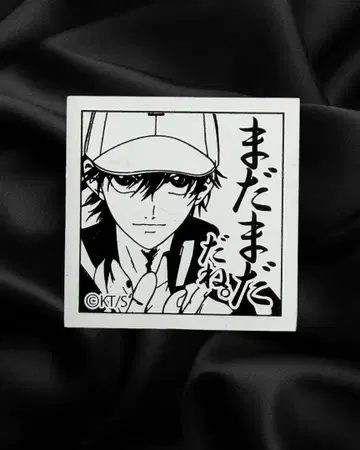 [ 레어 ] 에치젠 료마 도장 대원화전