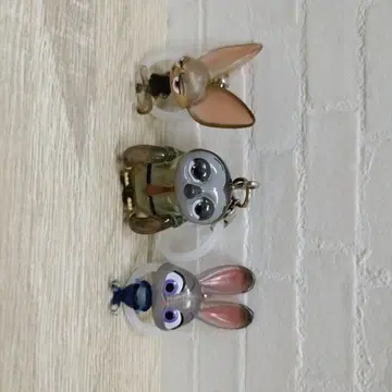 피닉 플래시 주디 메지루시 참