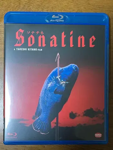 소나티네 ('93 반다이 비주얼/쇼치쿠 제1흥행)