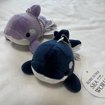 고베 스마 월드 범고래 마스코트 한정 컬러 딥 블루 라벤더