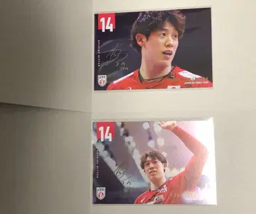 남자 배구 일본 대표 엽서 컬렉션 이시카와 유키 묶음 판매