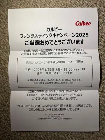 도쿄 디즈니랜드 대관 2인분