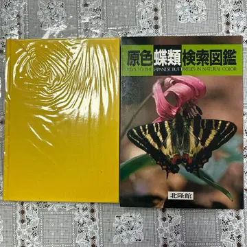 원색 나비 검색 도감