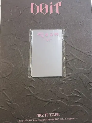 스트레이 키즈 DOIT 한정판 거울 리노