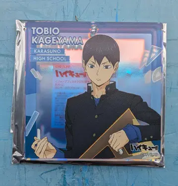 카게야마 토비오 하이큐 점프 페스타 복권 BIG 오로라 플로키