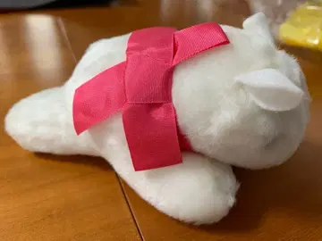 슈타이프 팬더 아기