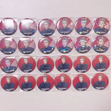 WIND BREAKER 히이라기 토마 경찰 캔뱃지