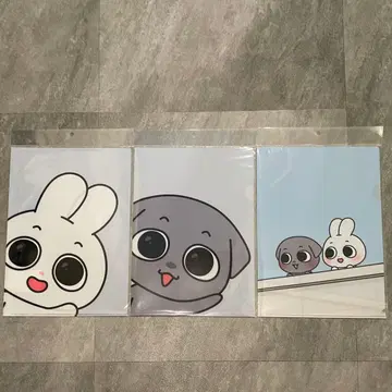 Kkamung&Angto 카문과 앙토 클리어 파일 3종 세트