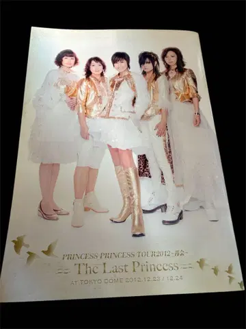 PRINCESS PRINCESS TOUR2012 증정 팜플렛