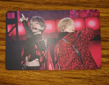 우라시마사카타센 우라타누키 토나리노 사카타. 랜덤 미니 포토 카드