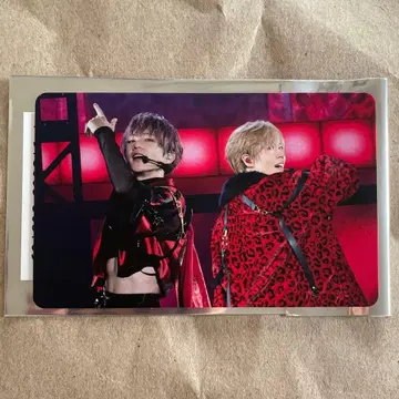 우라시마사카타센 랜덤 미니 포토 카드 우라타누키 토나리노 사카타.