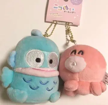 니코누이 키링 한교동 사유리