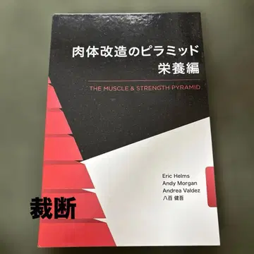 신체 개조의 피라미드 영양편