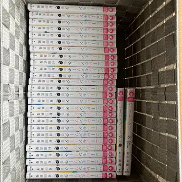 허니 레몬 소다