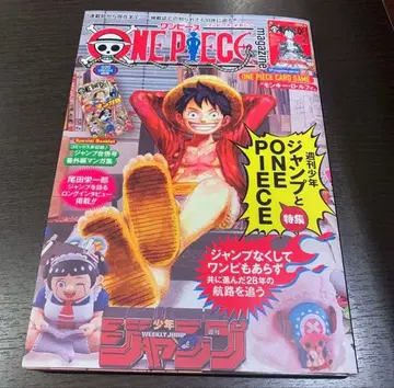 ONE PIECE magazine 20호 몽키 D 루피 ST21