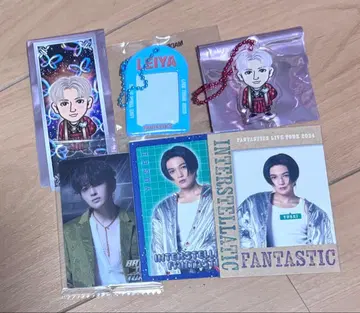 야기 유세이 세구치 레이야 6개 세트