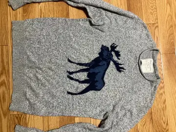 Abercrombie & Fitch 엘크 자수 니트 L