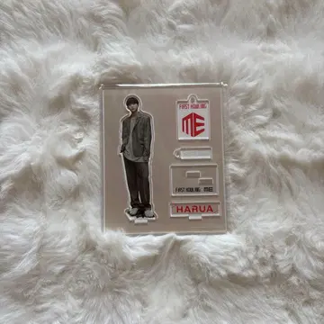 &team 하루아 아크릴 스탠드