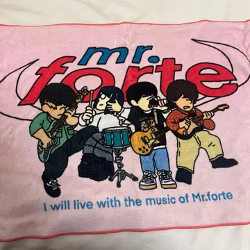 Mr. 포르테 타월 러버 밴드 세트