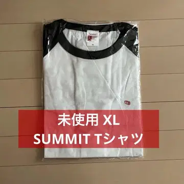 미사용 XL SUMMIT 티셔츠 BIM punpee in-d vava