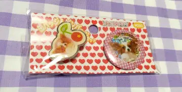 파피용 캔뱃지 & 핀 배지 세트