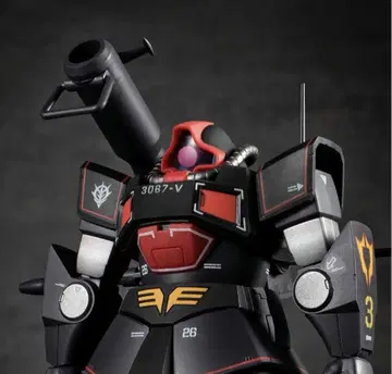 로봇혼 YMS-09 프로토타입 돔 ver. A.N.I.M.E.