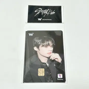 새상품 WOWPASS 카드 Stray Kids 리노 Lee Know