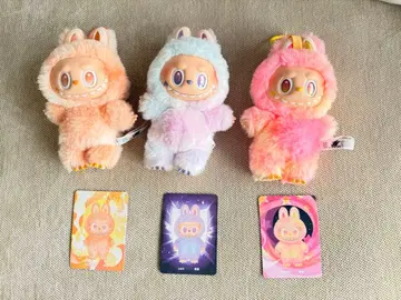 러브브 정품 3체 세트