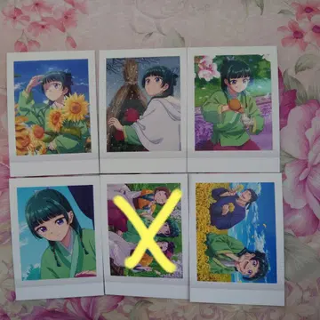 약사의 혼잣말 파샤코레 마오마오 5장 세트