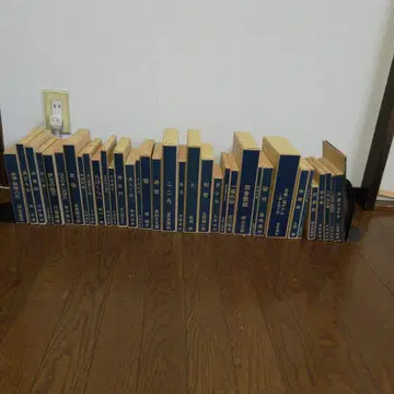 신선 명저 복각 전집 근대 문학관