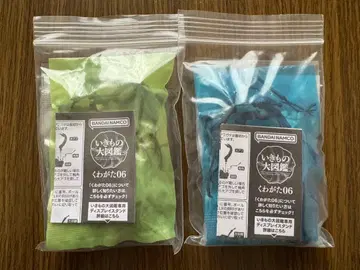 생물대도감 장수풍뎅이 06 넓적사슴벌레(본토) 갈색/검정 2체 세트