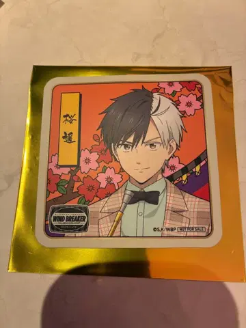 윈브레 세이부 유원지 코스터 벚꽃 윈드브레이커