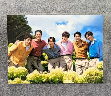 SHOW-WA 브로마이드 2L판