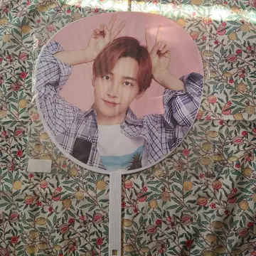 SEVENTEEN 정한 부채 CARAT CAMP