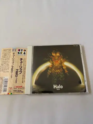 Halo 헤이로우 튤립 음장반 CD
