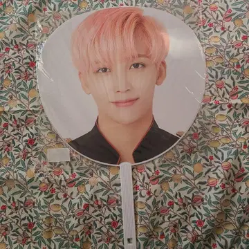 세븐틴 정한 'svt' 부채