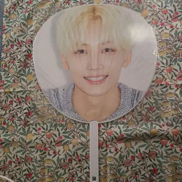 SEVENTEEN 정한 부채