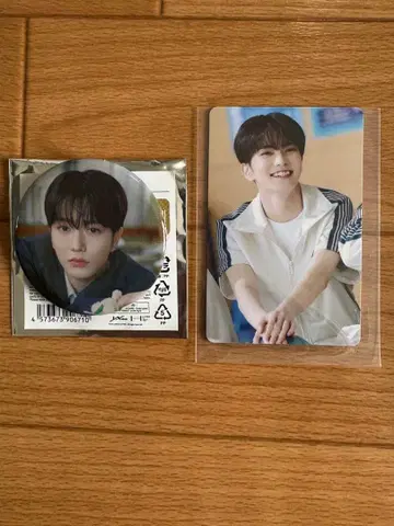 aoen 레이오 REO 트레이딩 카드 캔뱃지