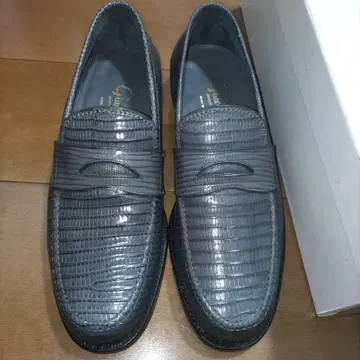 F.lli Giacometti 자코메티 41h TEJUS 리자드