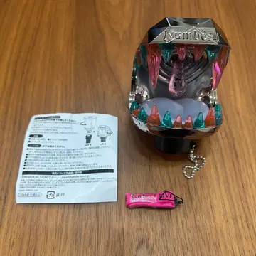 Number_i No.II 2025 응원봉